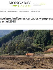 Áreas protegidas en peligro, indígenas cercados y empresas chinas: el balance ambiental de Bolivia en el 2018