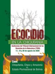 “Ecocidio en la Chiquitanía”, compilación de casos presentados ante el Tribunal Internacional de los Derechos de la Naturaleza
