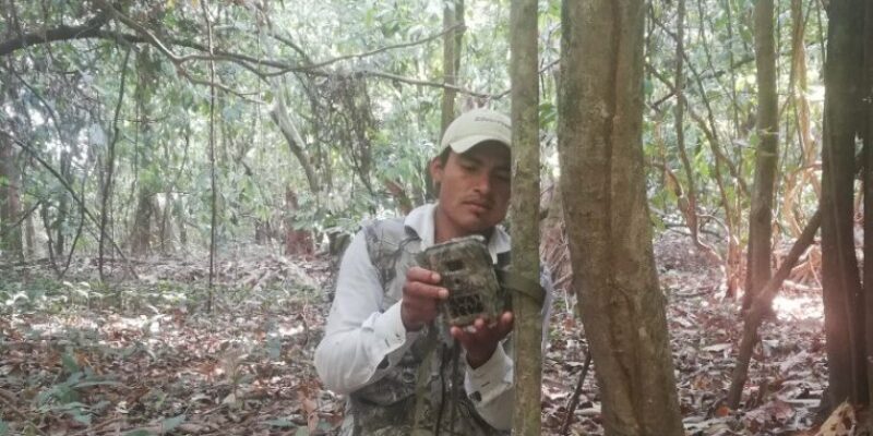 Movimas incorporan tecnología para registrar a la fauna de la amazonía sur del Beni