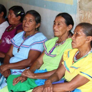 El Cejis eleva un informe a las Naciones Unidas sobre el estado de vulnerabilidad de los pueblos indígenas ante el coronavirus