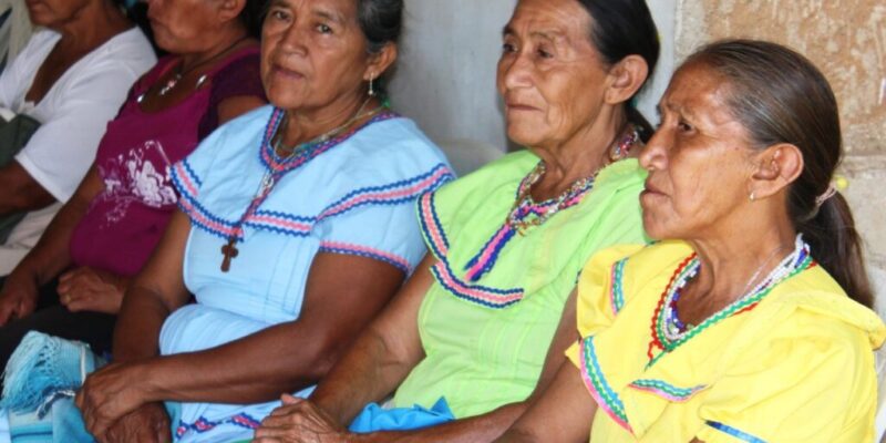 El Cejis eleva un informe a las Naciones Unidas sobre el estado de vulnerabilidad de los pueblos indígenas ante el coronavirus