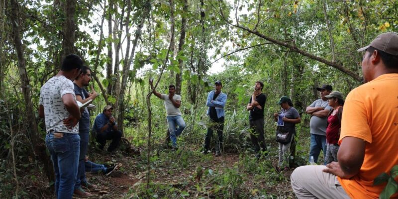 Inicio del proceso de formación de monitores socioambientales en el territorio de Lomerío