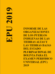 Examen Periódico Universal (EPU) 2019