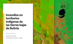Incendios en los territorios indígenas de las tierras bajas de Bolivia. Análisis del periodo 2010-2020