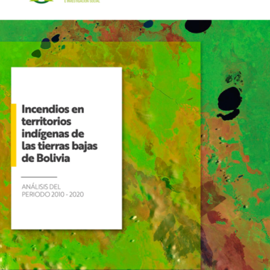 Incendios en los territorios indígenas de las tierras bajas de Bolivia. Análisis del periodo 2010-2020