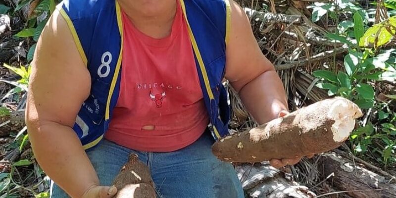 “La yerba en el chaco no es nuestra enemiga”; así avanzan los chacos sin quema en la Amazonía Sur de Bolivia