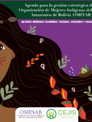 Conoce los cinco ejes de la agenda estratégica de las mujeres indígenas de la Amazonía Norte de Bolivia