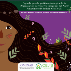 Conoce los cinco ejes de la agenda estratégica de las mujeres indígenas de la Amazonía Norte de Bolivia