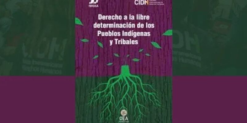 CEJIS y Oré presentan informe sobre el ejercicio del derecho a la libredetermiación entre los pueblos indígenas elaborado por la CIDH