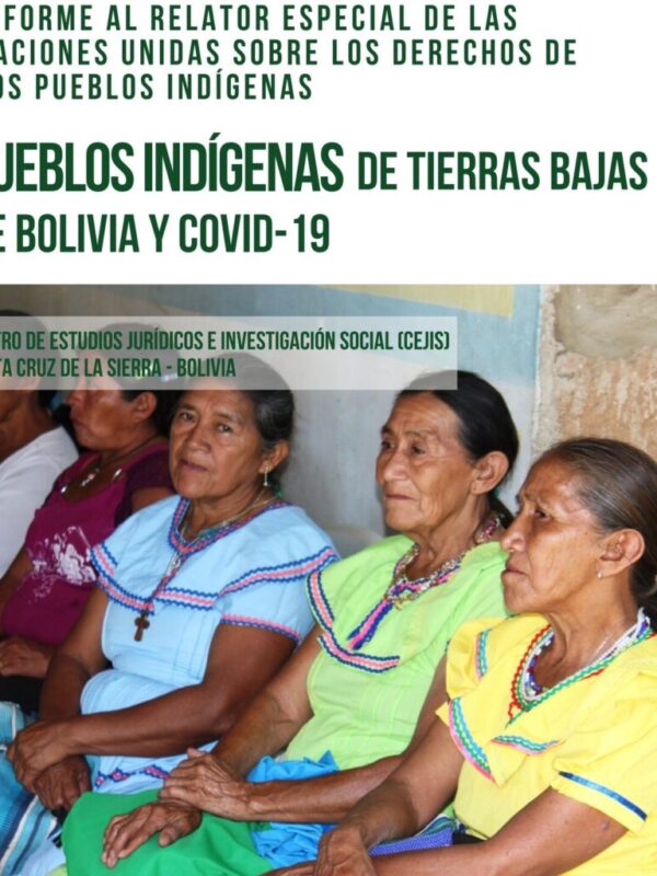 Informe a las Naciones Unidas: Pueblos indígenas de tierras bajas de Bolivia y COVID-19 (Resumen)