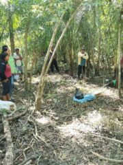 Indígenas del Beni se forman en peritaje de agroforestería sucesional