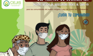 El sistema de salud para los pueblos indígenas del Trópico de Cochabamba