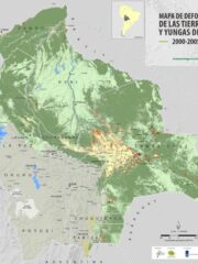 Más allá de Brasil: ¿a quiénes benefician los incendios en la Amazonía boliviana?