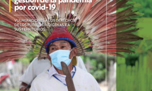 Pueblos indígenas y gestión de la pandemia por covid-19 – Vulneraciones a los derechos de los pueblos indígenas y a sus territorios
